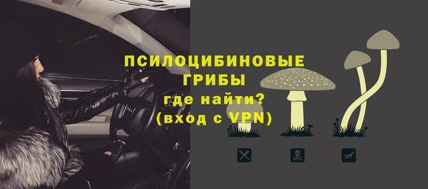 mdma Няндома