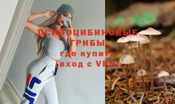 прущие крисы Осташков