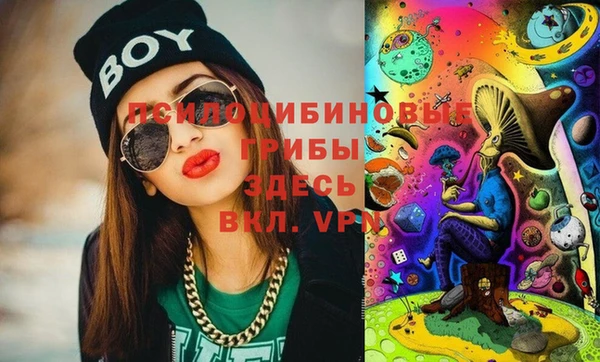ПСИЛОЦИБИНОВЫЕ ГРИБЫ Остров