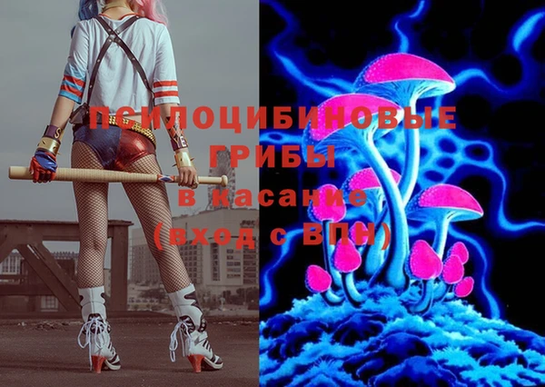 ПСИЛОЦИБИНОВЫЕ ГРИБЫ Остров