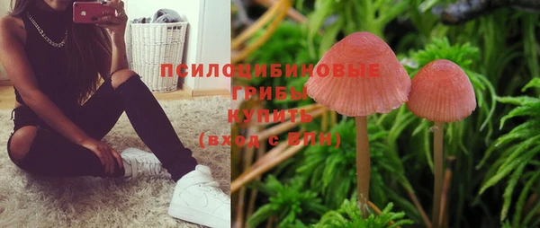 прущие крисы Осташков